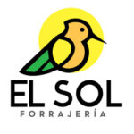Imagen del autor