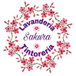 Imagen del autor