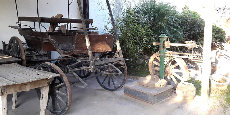 museo5