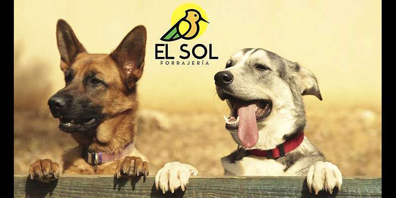 elsol1